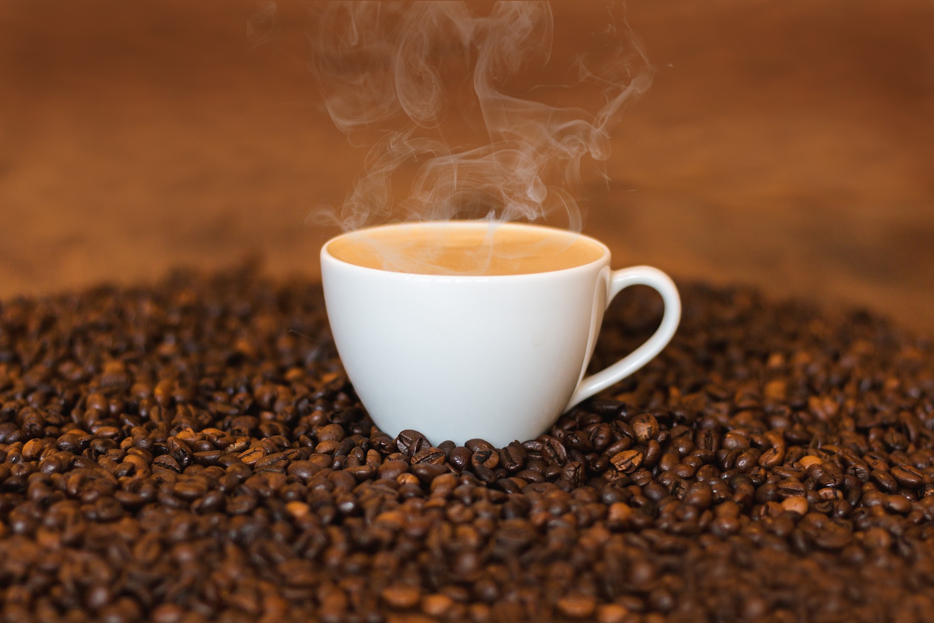 Fundo de previdência canadense investe no café brasileiro
