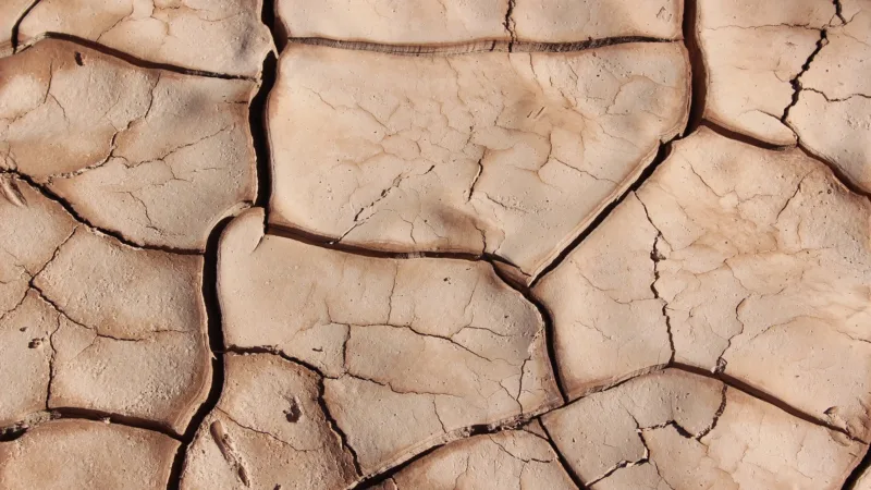 Samarco – Vale e BHP fecham acordo parcial sobre indenização