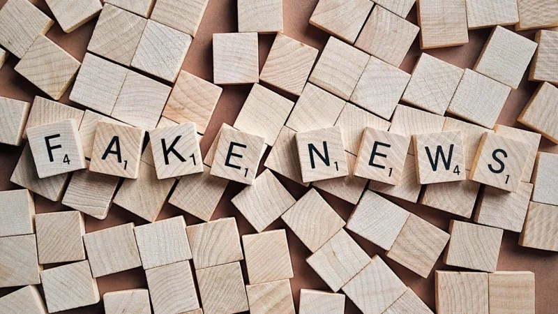 Fake News maciça influenciou eleições brasileiras, diz OEA