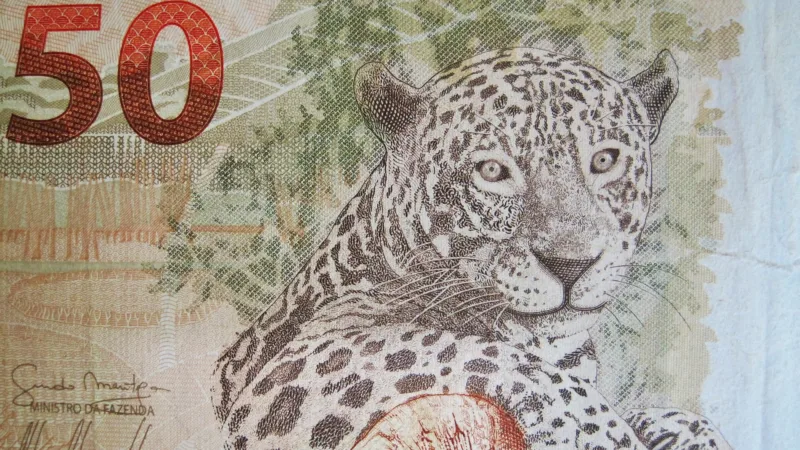Dívida pública pode alcançar R$ 4,3 trilhões em 2019, diz Tesouro Nacional