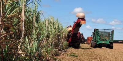 Monsanto é condenada a pagar US$ 2 bilhões por agrotóxico