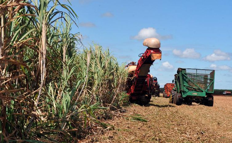 Agricultor paulista recebeu 1,41% mais por sua produção em janeiro. diz IEA