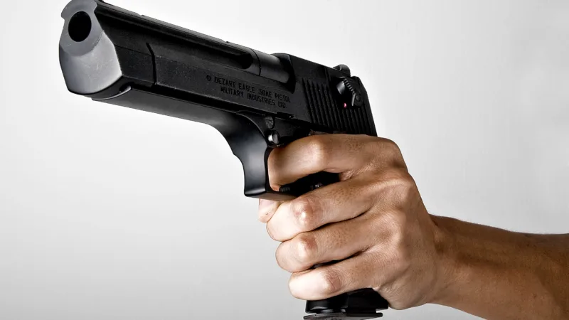 Controladores da Taurus vendem ações no dia do decreto de posse de armas