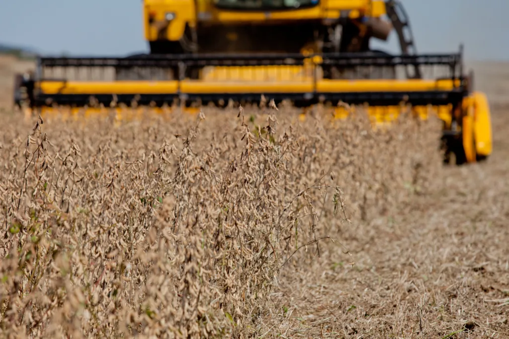 Consultoria avalia terras da SLC Agrícola em R$ 10,9 bilhões