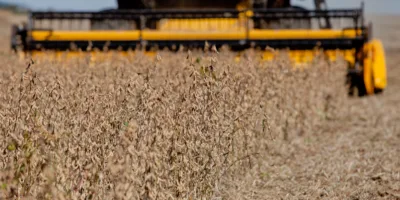 SLC Agrícola (SLCE3) entra na primeira prévia do Ibovespa