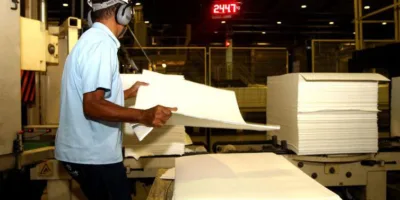 Gigantes do setor de celulose, Suzano e Fibria concluem fusão