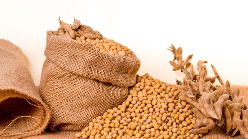 Governo zera tarifas de importação de soja e milho, temporariamente