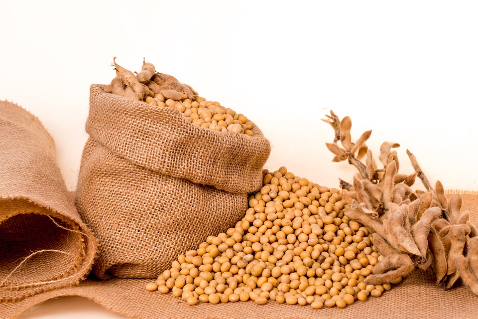 tarifas de importação - soja e milho