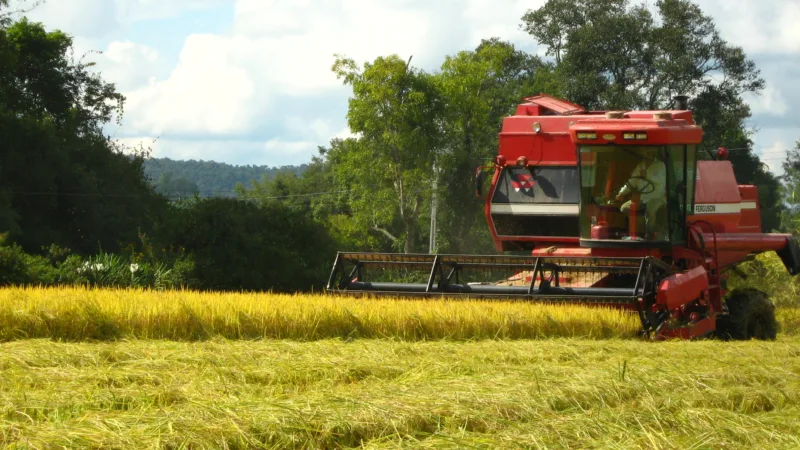 Cosan tem lucro líquido 14,5% maior e acréscimo de 25,6% na receita