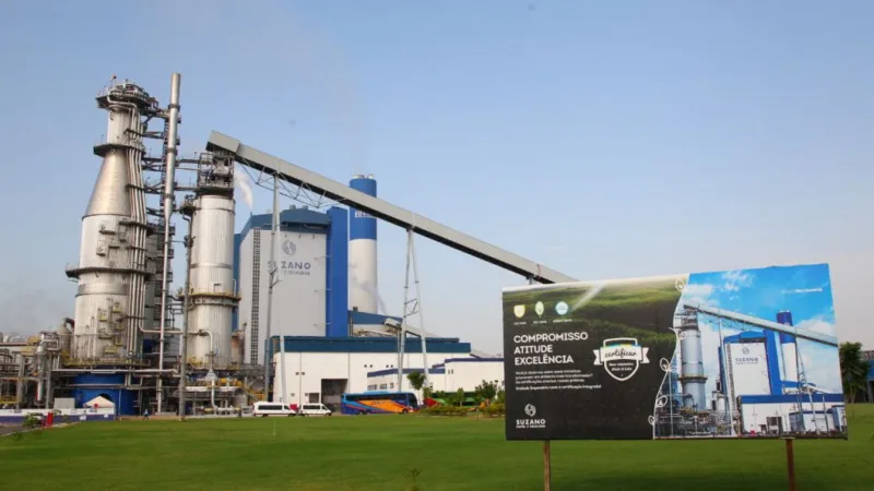 Suzano registra prejuízo líquido de R$ 3,46 bi no 3T19