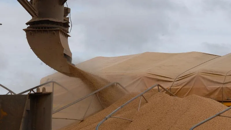 Safra de soja 2018/19 deve ser a menor dos últimos 3 anos, diz AgRural