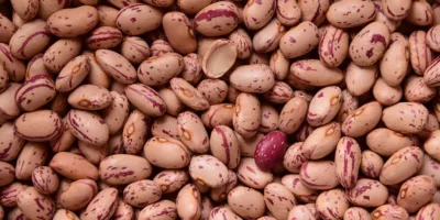 Fipe eleva projeção do IPC do ano; motivo principal é alta dos alimentos