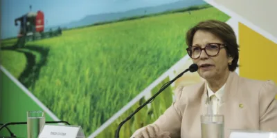 Brasil não consegue ampliar nº de frigoríficos que podem exportar para China