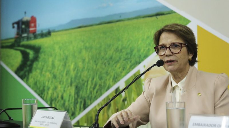 Brasil não consegue ampliar nº de frigoríficos que podem exportar para China