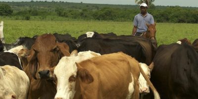 Argentina elevará tributação em exportações de carne bovina, diz Marfrig