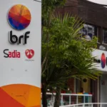 Conheça a MBRF, da fusão entre BRF (BRFS3) e Marfrig (MRFG3), e veja como ficam os acionistas