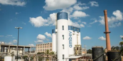 Ambev lidera as baixas da B3 após divulgação do balanço trimestral; Petrobras sobe