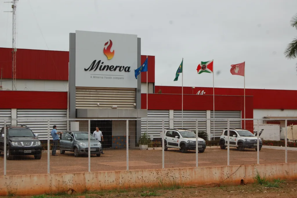 Minerva (BEEF3)