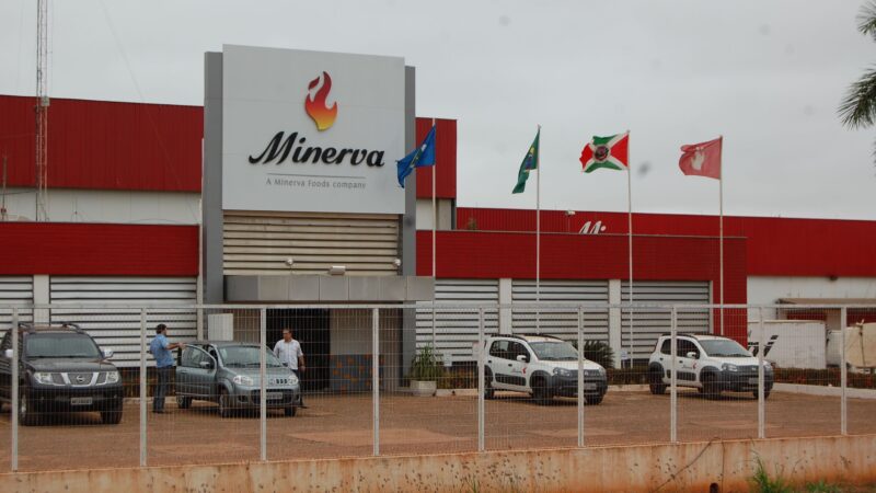 Minerva (BEEF3) encolhe lucro em 71%, para R$ 120 milhões