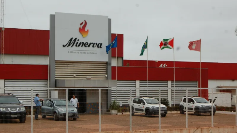 Minerva (BEEF3) anuncia programa de recompra de ações