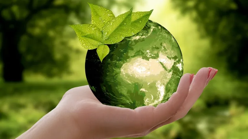 Confira quatro ações de empresas que apoiam a sustentabilidade