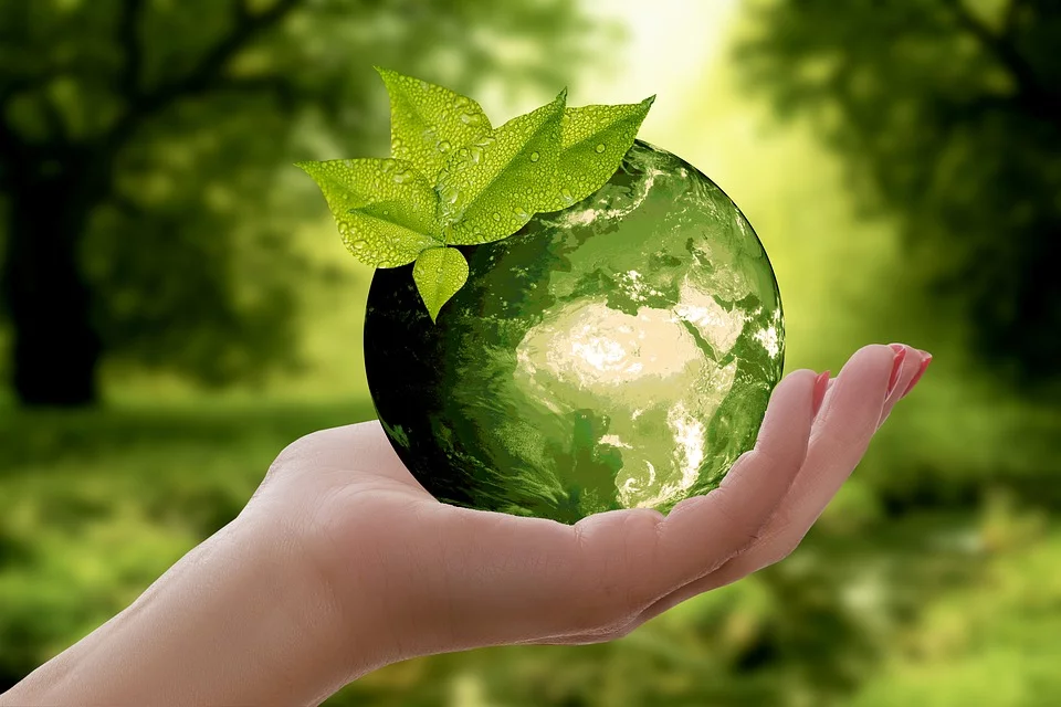 Confira cinco ações de empresas que apoiam a sustentabilidade