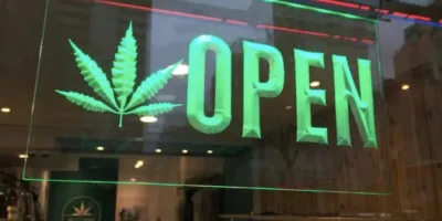 Porque acabou a euforia das ações de maconha nas Bolsas de Valores