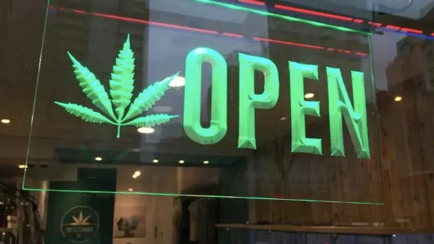 Porque acabou a euforia das ações de maconha nas Bolsas de Valores