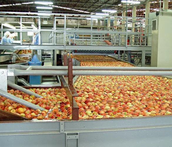Pomi Frutas: Falência da empresa é decretada pela Justiça