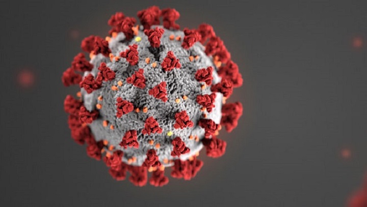 Segundo pesquisa, coronavírus pode ter começado a circular em agosto