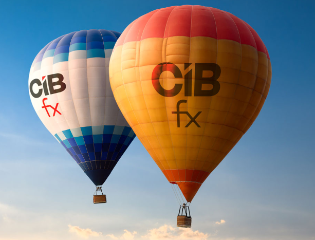 CVM determina suspensão imediata de ofertas de investimento pela empresa CIBFX