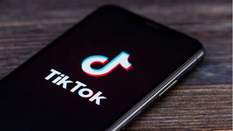 TikTok envia carta ao governo indiano para evitar banimento no país