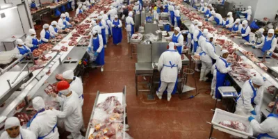 Marfrig (MRFG3) anuncia joint-venture para explorar produtos vegetais