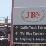 JBS (JBSS3) é uma das cinco melhores ações para junho, diz BB-BI