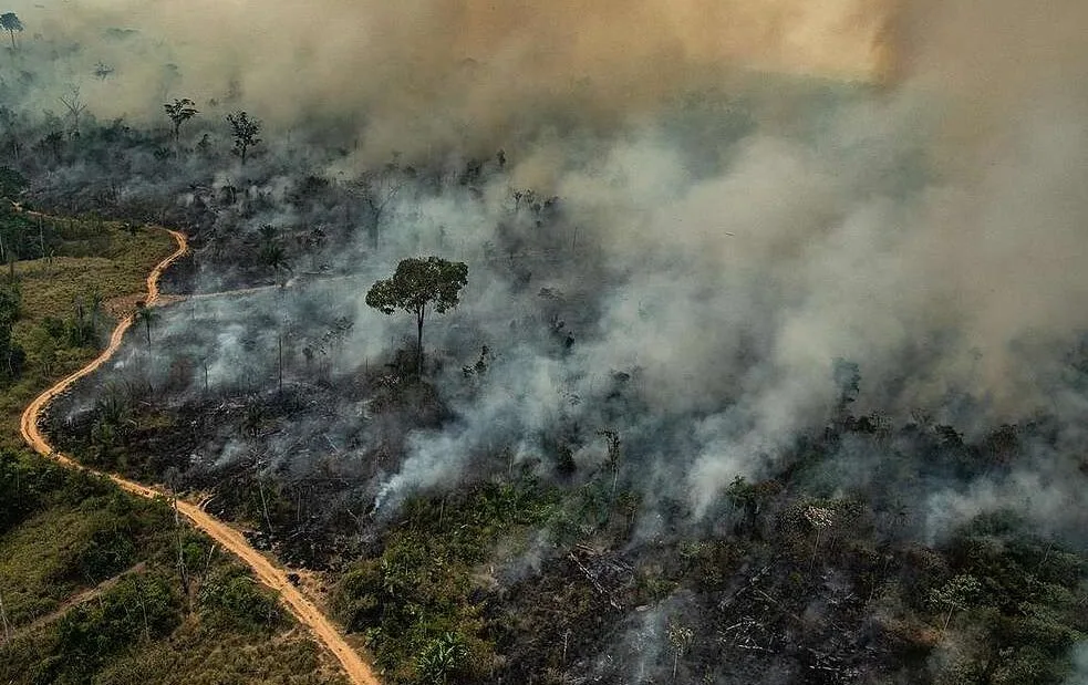 Amazônia