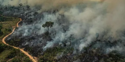 Amazônia: Empresas europeias ameaçam cortar investimentos no Brasil devido ao desmatamento