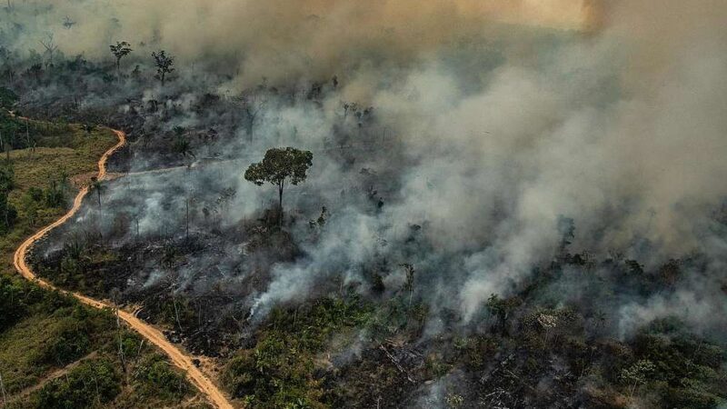 Amazônia: Empresas europeias ameaçam cortar investimentos no Brasil devido ao desmatamento