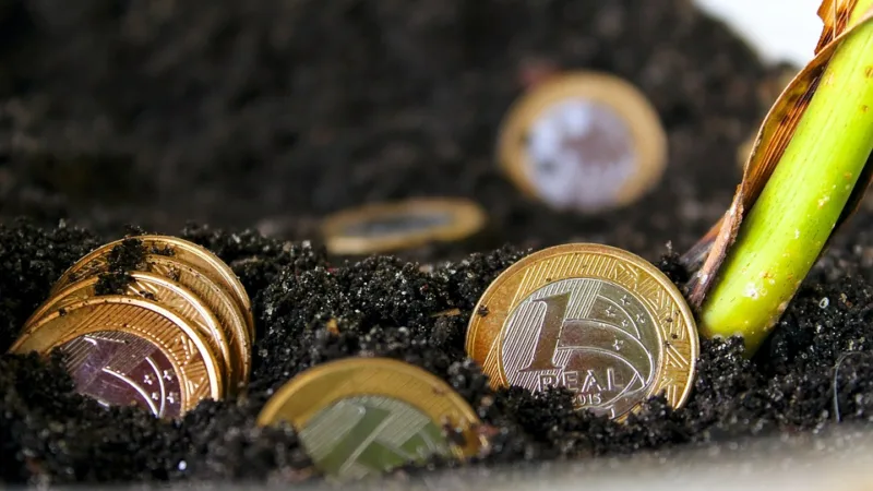 Real mostra sinais de subvalorização da ordem de 15%, aponta IIF