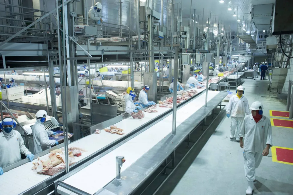Fabrica de carne animal. Foto: Divulgação