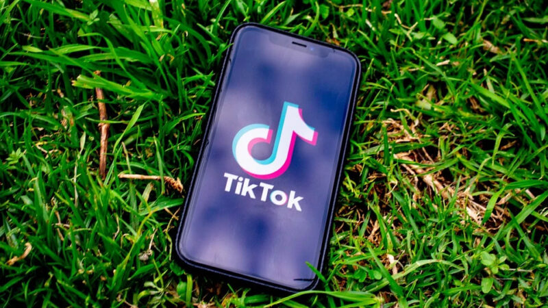 Dona do TikTok acusa Facebook de plágio e difamação