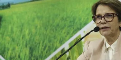 Amazônia: Tereza Cristina defende juros baixos a produtores sustentáveis