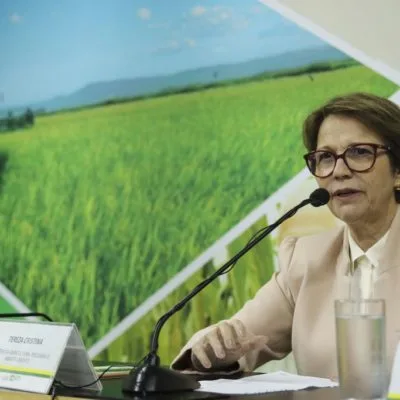 Amazônia: Tereza Cristina defende juros baixos a produtores sustentáveis
