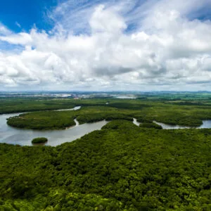 Emissões de títulos voltados a ESG devem alcançar US$ 350 bi em 2020