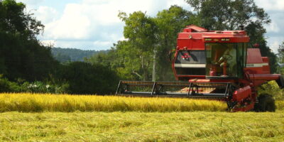 PIB do Brasil pode cair 6,5% neste ano, indica sondagem FGV/Ifo