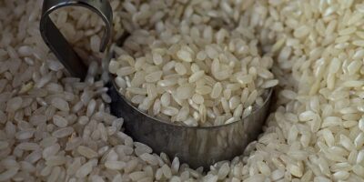Camex reduz a zero tarifa para a importação de arroz