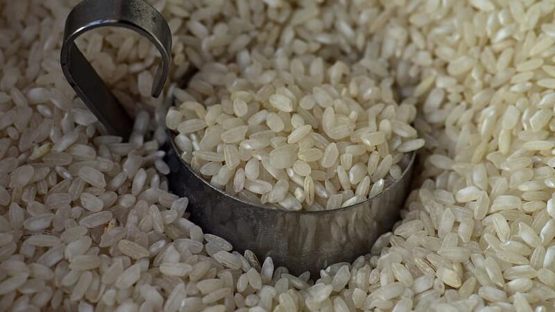 Camex reduz a zero tarifa para a importação de arroz
