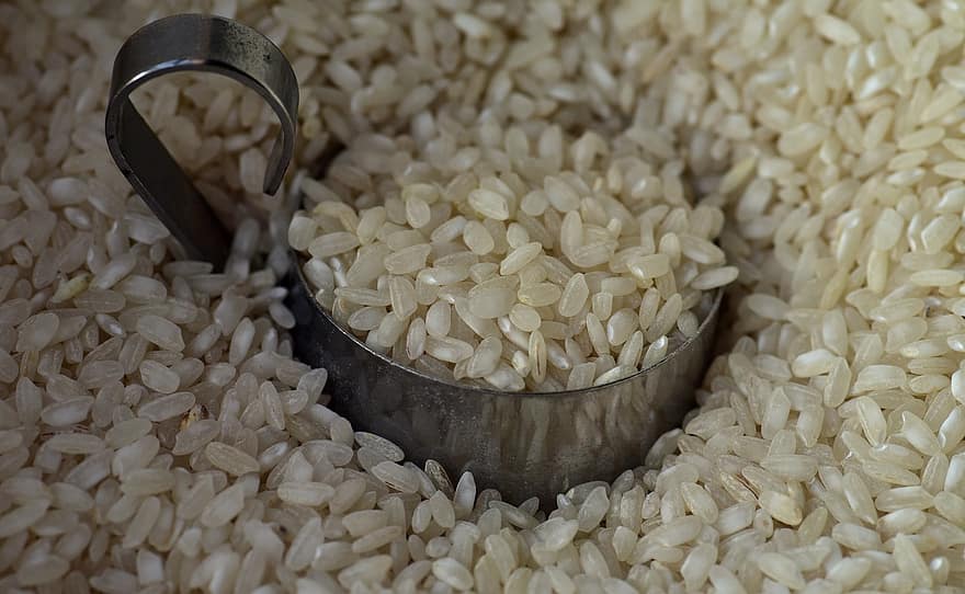 O governo estabeleceu uma cota de 400 mil toneladas de arroz até o fim do ano que pode entrar no País sem a taxa