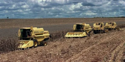 Agricultura: Valor Bruto da Produção deve ter aumento de 10% em 2020