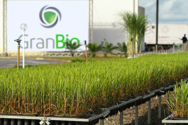 A Granbio, do segmento de produção de biocombustíveis, pediu registro para abrir capital na bolsa