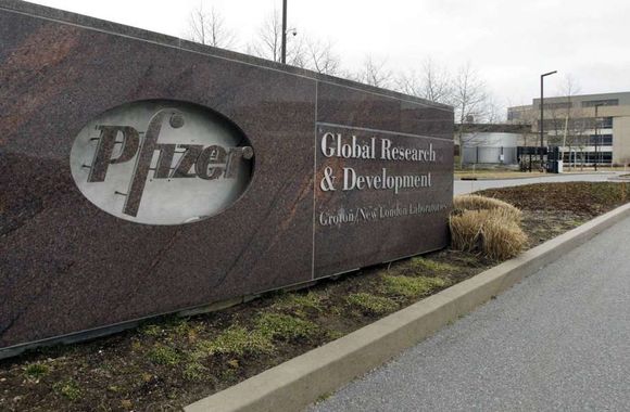 Vacina da Pfizer não será influenciada por política, diz CEO